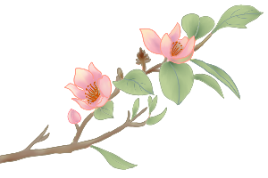 的生理变化